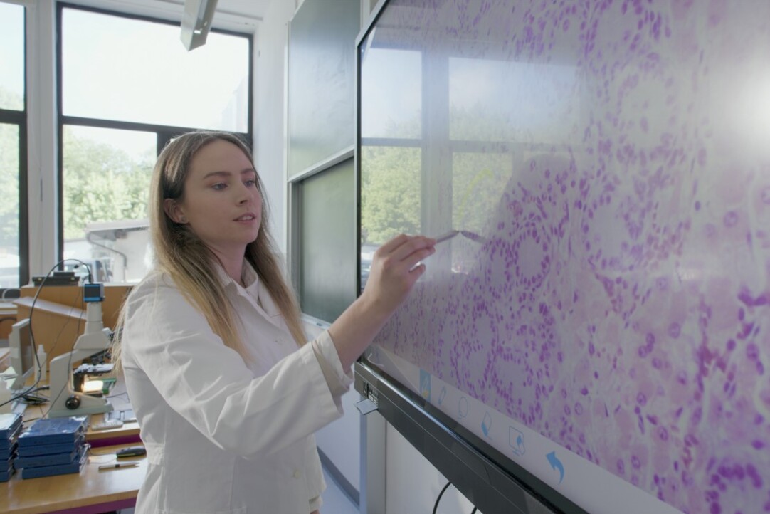 HSE Scientists Reveal What Drives Public Trust in Science Illustration for news: HSE Scientists Reveal What Drives Public Trust in Science